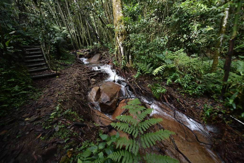 Reserva Natural Paraíso Andino ubicado en La Vega Cundinamarca