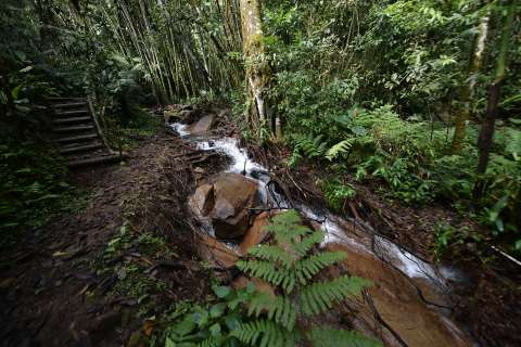 Planes de turismo cerca de Bogotá para Semana Santa: La Vega destaca en Cundinamarca