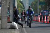 En enero hubo 441 casos de hurto de bicicletas en Bogotá: al menos 14 cada día