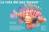 La ruta del pez invasor