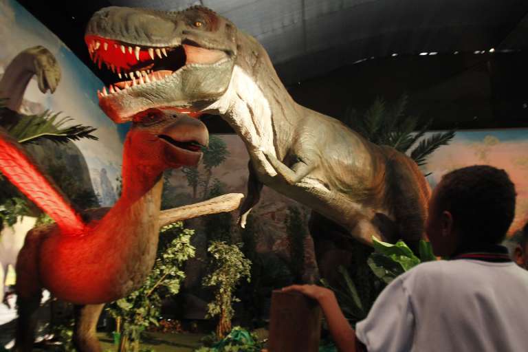 MED102. MEDELLÍN (COLOMBIA), 11/02/2023.- Niños asisten a la exhibición "Dinosaurios y Dragones fantásticos", el 10 de febrero de 2023, en Medellín (Colombia). "Dinosaurios y Dragones Fantásticos", considerado el tour animatrónico más grande de Latinoamérica, inició este sábado en Medellín un viaje prehistórico y mitológico con más de 30 figuras que simulan el aspecto y comportamiento estas criaturas. EFE/ Luis Eduardo Noriega A.