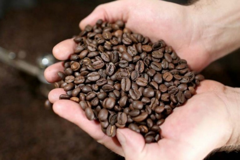 El día que la historia se hizo café
