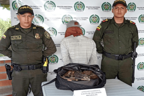 Capturan a hombre que presuntamente mataba iguanas en Palestina, Caldas