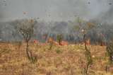 Incendios en la Amazonía duplicaron casos de niños con problemas respiratorios