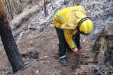 Así se ve el cerro de la quebrada La Vieja tras la liquidación del incendio