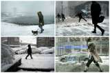 Los estragos de sorpresiva tormenta de nieve en Nueva York
