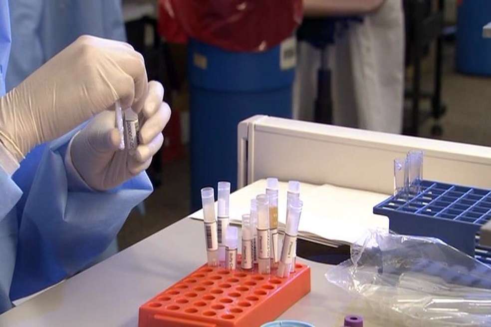 Los atlas revelan conexiones entre las células inmunitarias y el tumor con gran detalle. / ASV Production - Vmeo