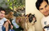 Estos son los perritos que ayudan a Checo Pérez a sobrellevar la presión de su carrera