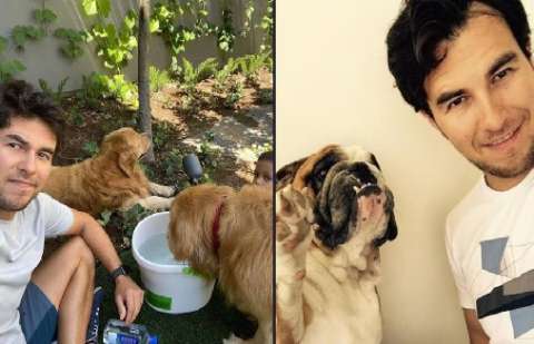 Estos son los perritos que ayudan a Checo Pérez a sobrellevar la presión de su carrera