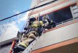 Los Bomberos de Bogotá que arriesgan su vida salvando animales en emergencias de la ciudad