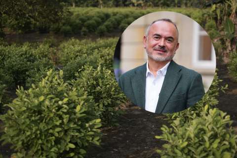 Colombia evalúa proponer a EE. UU. nuevo modelo de medición de cultivos de uso ilícito