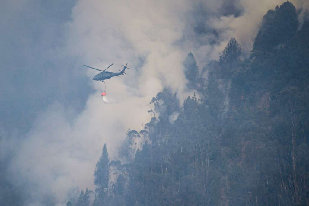 Incendio en cerro El Cable.