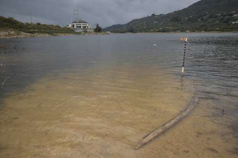 Doce meses para forjar una Bogotá resiliente al cambio climático