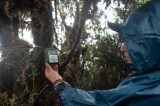 Escucha Aves: IA a favor de la conservación y las comunidades