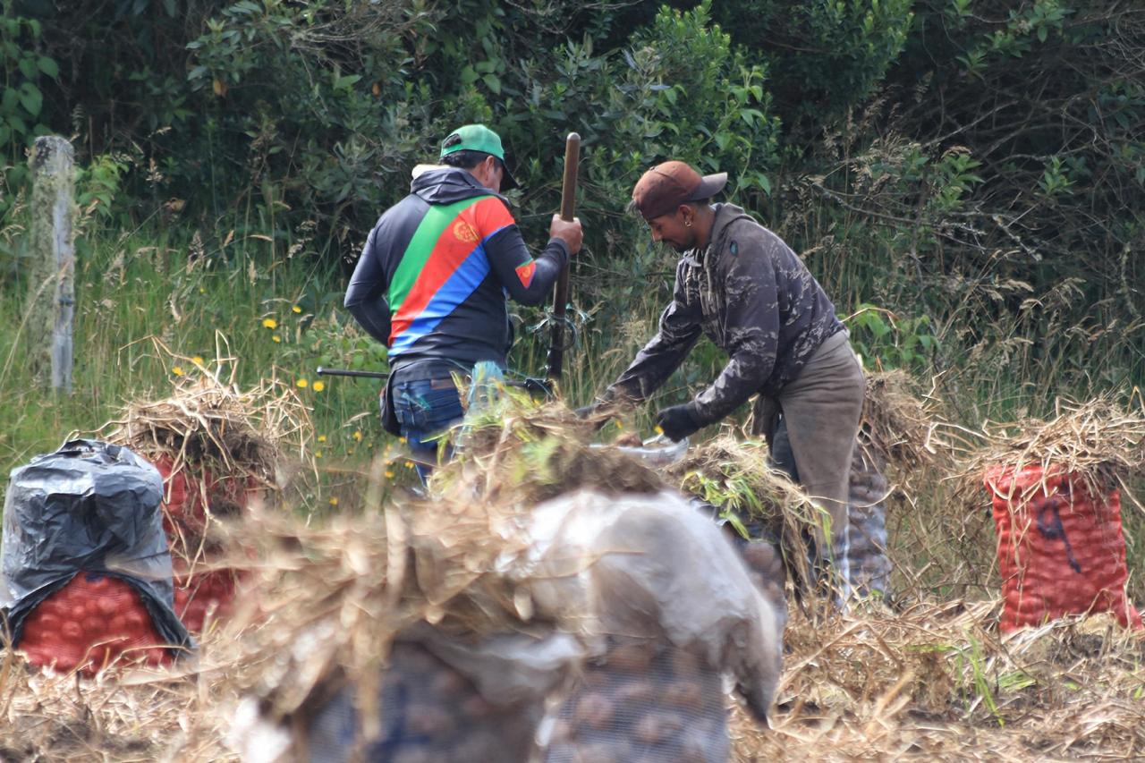 Imagen de referencia agricultura