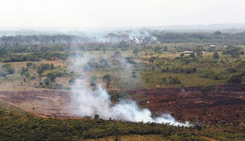 La Operación Artemisa enfrenta la deforestación con un enfoque militar.
