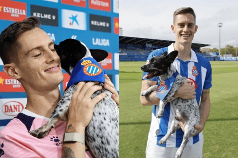 Emotivo momento: jugador en España fue a rueda de prensa con su perrito (video)