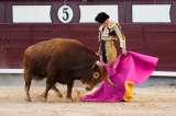 Otras prácticas taurinas que quedarían prohibidas junto con las corridas de toros