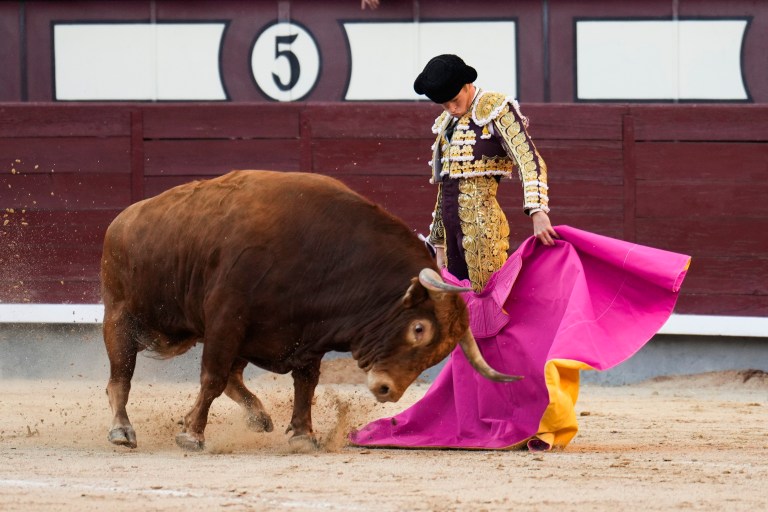 Otras prácticas taurinas que quedarían prohibidas junto con las corridas de toros