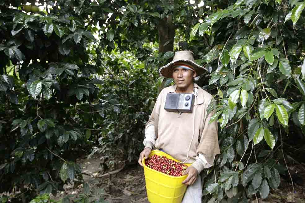 En septiembre de 2013 Colombia produjo 860 mil sacos de café. / Reuters