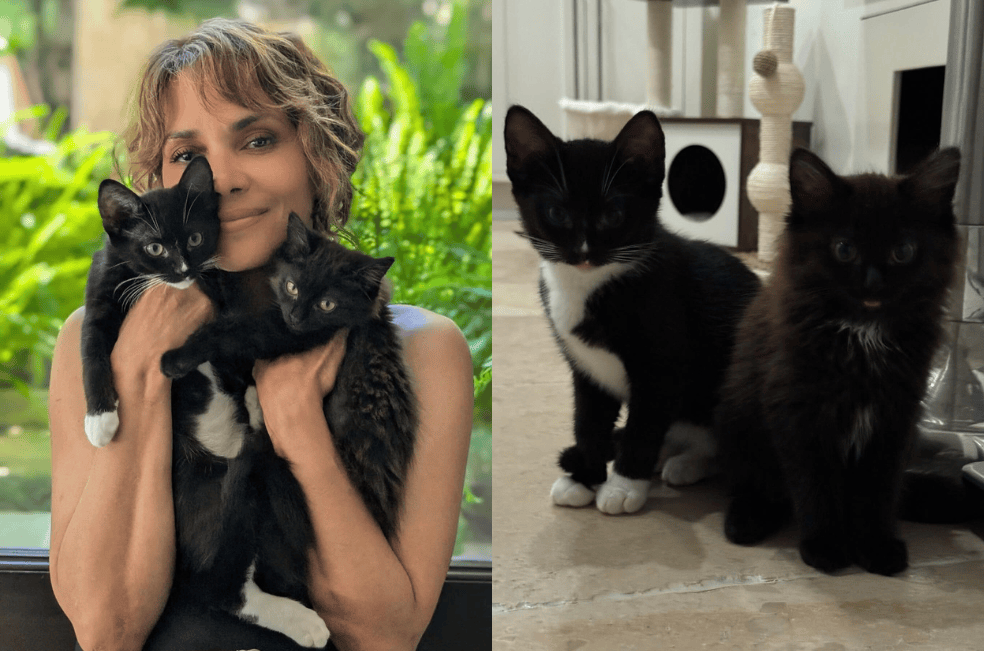 Halle Belly siempre ha sido amante de los animales