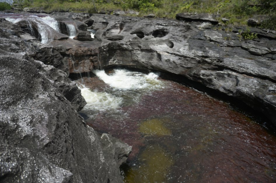 En días soleados es muy común que en el río Caño Cristales sobresalgan tonos como el rojo y en zonas de sombra el verde. / Fotos: Jhonatan Ramos