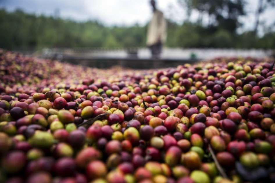 Agricultura de precisión, telemedicina y educación están entre los potenciales usos de la capacidad contenida en el memorando de entendimiento. / Bloomberg News.