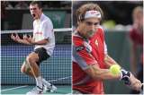 Ferrer y Janowicz disputarán la final del Máster 1000 de París
