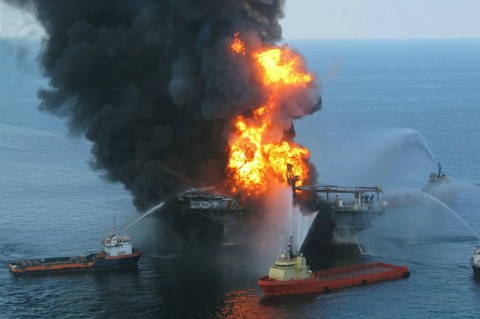 El vertido del Deepwater Horizon dañó el sistema sensorial de las rayas