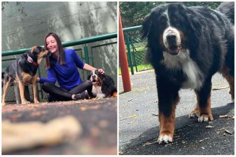 Alejandra Giraldo contó el duro momento que pasó con su perro: “fue angustiante”