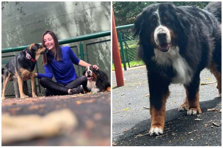 Alejandra Giraldo contó el duro momento que pasó con su perro: “fue angustiante”