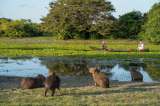 Empresas de 17 países conocerán el potencial en turismo de naturaleza de Colombia