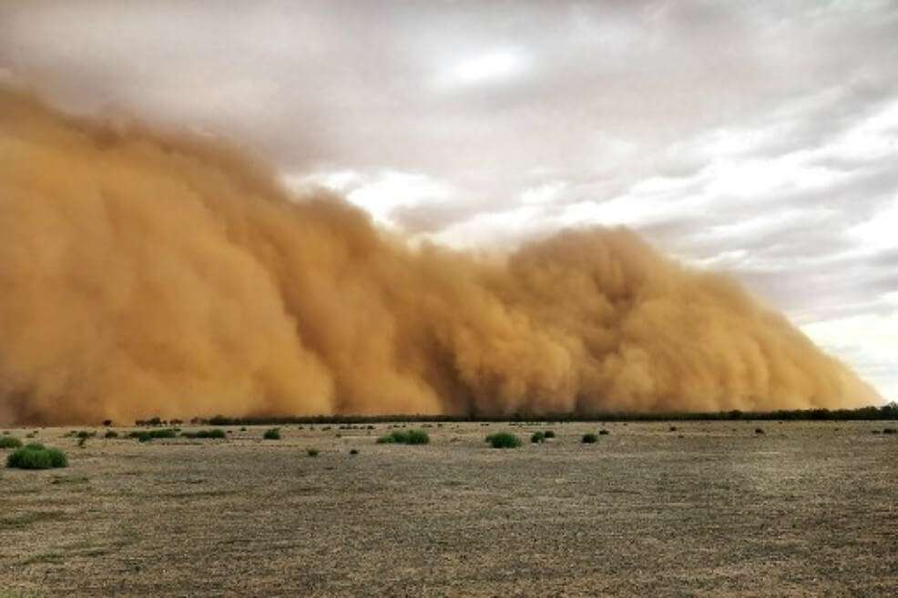 Imagen tomada el 17 de enero en New South Wales, Australia. / AFP