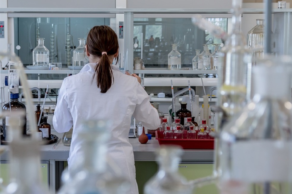 Se espera que los candidatos que la obtengan realicen los trabajos de grado en cinco áreas: salud, alimentos, sociedad, energías sostenibles y bioeconomía.  / Pixabay