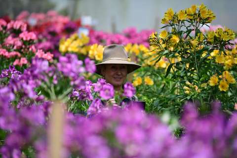 En el día de la madre, la floricultura también florece