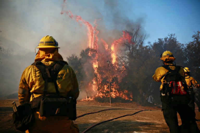 42 muertos por devastador incendio en California