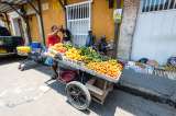 Dulce conquista: así se abren paso las frutas exóticas de Colombia en el mundo