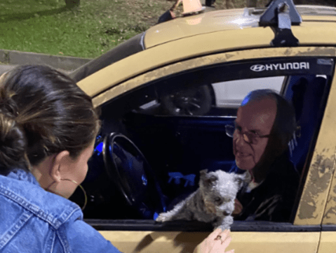Lola, la perrita ciega que fue rescatada por taxista y ahora recorre Medellín