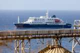 Tras brote en un crucero, esto es lo que debe saber sobre el hantavirus