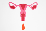 Ciclo menstrual y alimentación: ¿qué comer en cada etapa para sentirte mejor?