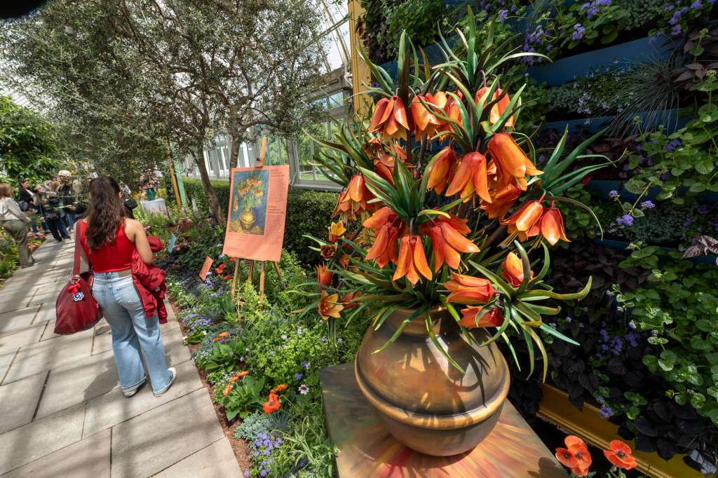 AME9425. NUEVA YORK (ESTADOS UNIDOS), 20/05/2025.- Personas visitan la exposición Van Gogh's Flowers este martes, en el Jardín Botánico de Nueva York (Estados Unidos). EFE/ Angel Colmenares
