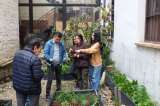 La propuesta del Museo Colonial que educa a través de las huertas