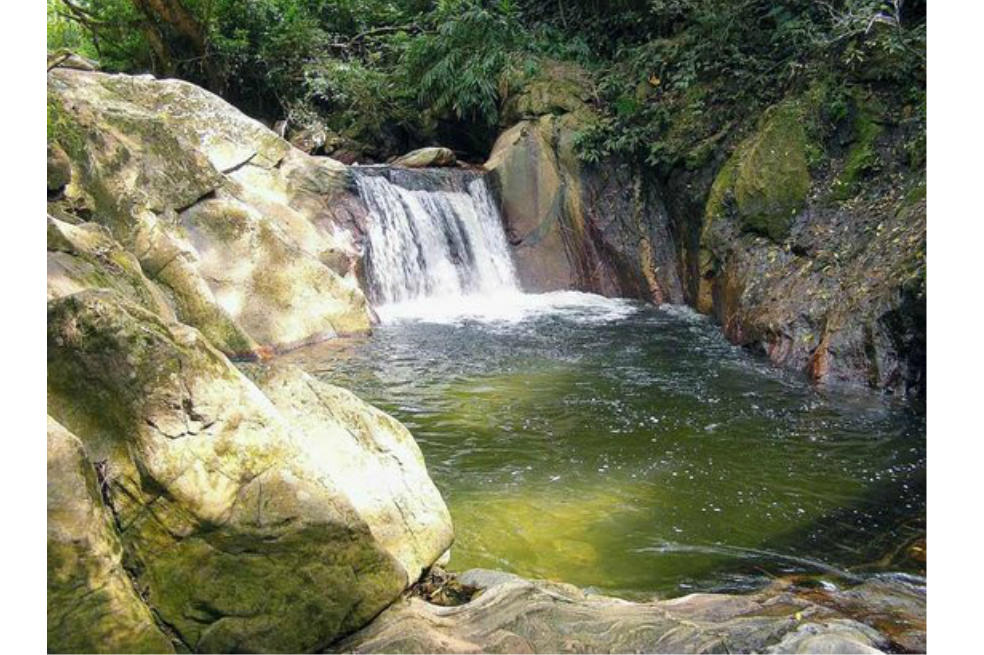 Tomada de: tripadvisor.co