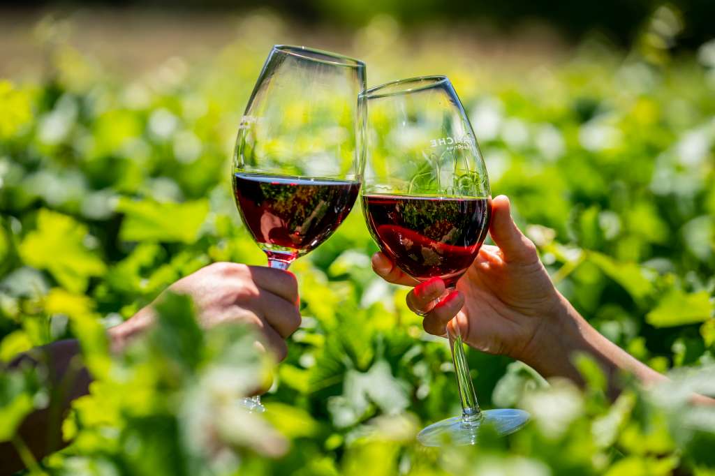 La mejor opción para degustar y comprar Malbec es visitar la provincia de Mendoza.