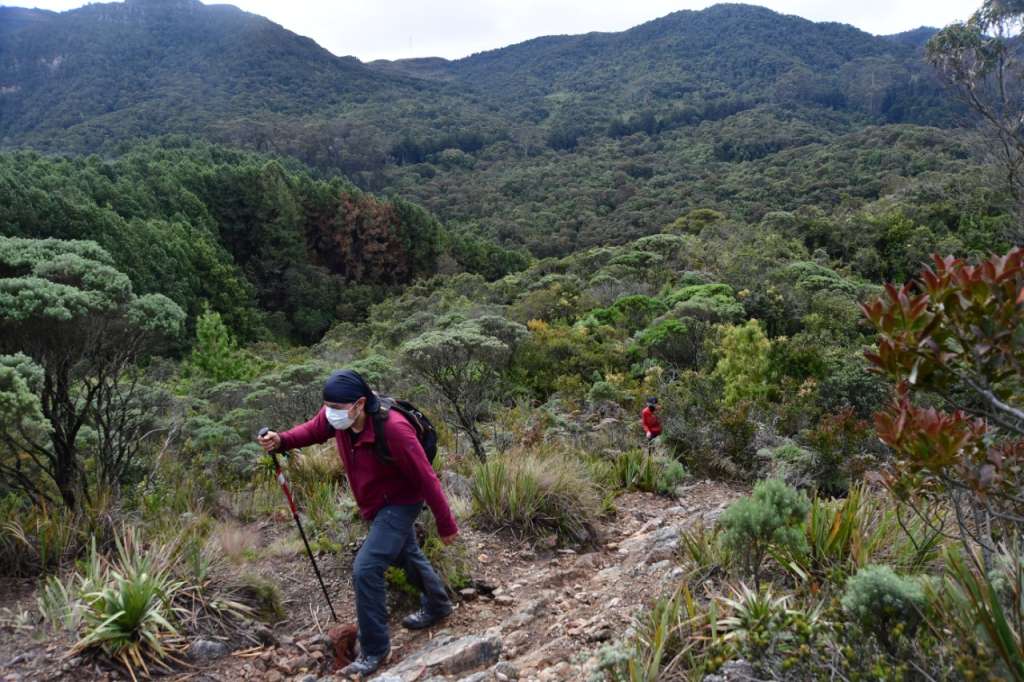 Personas caminando sobre la montaña.