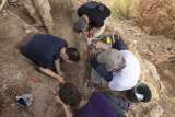 Descubren en Israel colmillo de elefante de 500.000 años