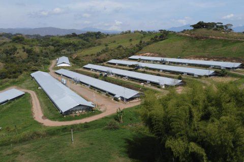Esta es Granja Salomé, hacienda que afros y campesinos reconquistaron de narcos en Cauca
