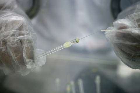 Seguros Bolívar se une a la compañía británica Bupa Global para ofrecer cobertura en salud