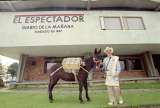 Titiribí y el resurgir de las mulas, nuestro animal nacional