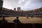 Corte Constitucional avala ley que prohíbe corridas de toros y peleas de gallos